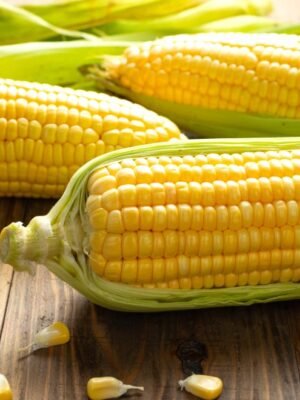 Maize/Corn starch
