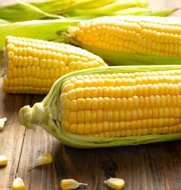 Maize/Corn starch