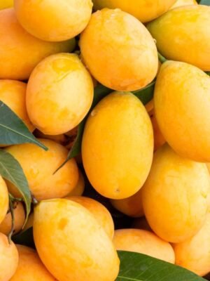 Indian Mango